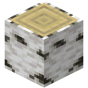 Birch Log — representative authorized Minecraft asset