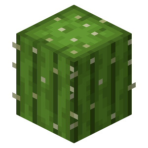 Cactus — representative authorized Minecraft asset