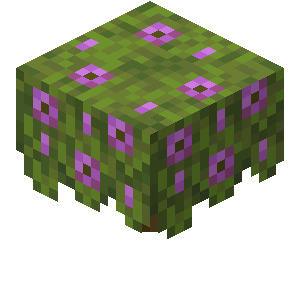 Flowering Azalea — representative authorized Minecraft asset