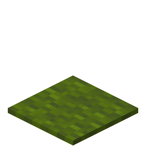 Green Carpet — representative authorized Minecraft asset