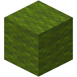 Green Wool — representative authorized Minecraft asset