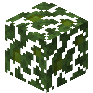 Jungle Leaves — representative authorized Minecraft asset