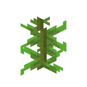 Kelp — representative authorized Minecraft asset