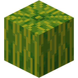 Melon — representative authorized Minecraft asset