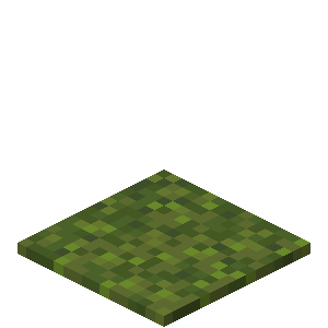 Moss Carpet — representative authorized Minecraft asset
