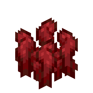 Nether Wart — representative authorized Minecraft asset