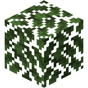Leaves — representative authorized Minecraft asset