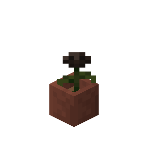 Potted Wither Rose — representative authorized Minecraft asset
