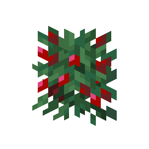 Sweet Berry Bush — representative authorized Minecraft asset