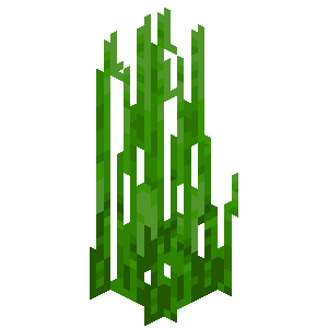 Tall Seagrass — representative authorized Minecraft asset
