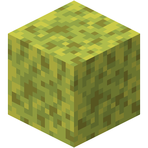 Wet Sponge — representative authorized Minecraft asset