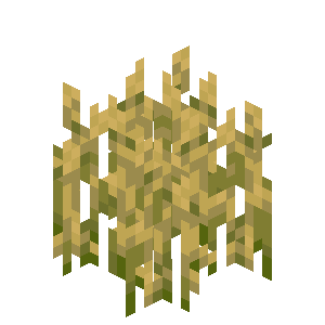 Wheat Crops — representative authorized Minecraft asset