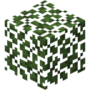 Leaves — representative authorized Minecraft asset