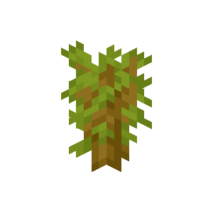 Acacia Sapling — representative authorized Minecraft asset