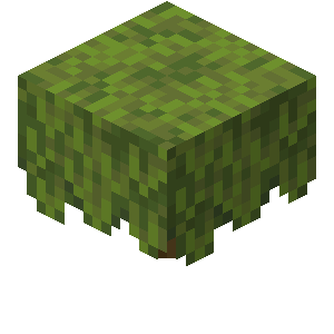 Azalea — representative authorized Minecraft asset