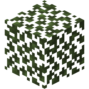 Birch Leaves — representative authorized Minecraft asset