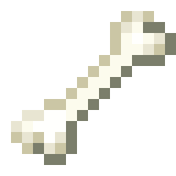 Bone — representative authorized Minecraft asset