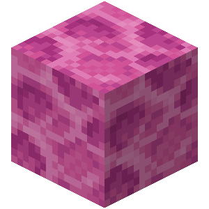 Brain Coral Block — representative authorized Minecraft asset
