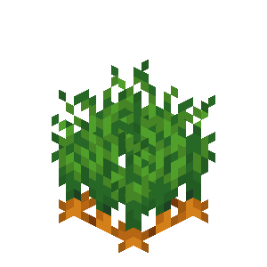 Carrots — representative authorized Minecraft asset