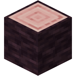 Cherry Log — representative authorized Minecraft asset