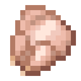 Raw Chicken — representative authorized Minecraft asset