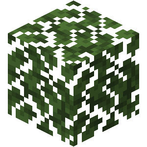 Dark Oak Leaves — representative authorized Minecraft asset
