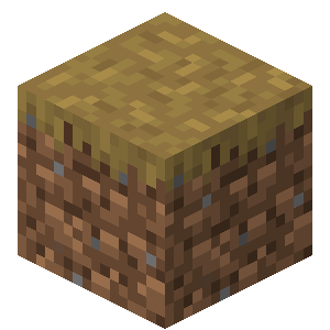 Dirt Path — representative authorized Minecraft asset