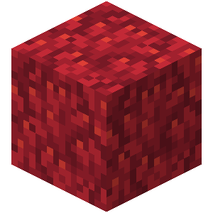 Fire Coral Block — representative authorized Minecraft asset