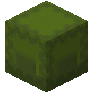 Green Shulker Box — representative authorized Minecraft asset