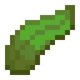 Kelp — representative authorized Minecraft asset