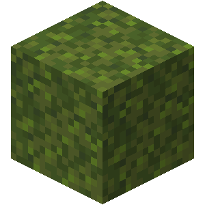 Moss Block — representative authorized Minecraft asset
