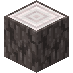 Pale Oak Log — representative authorized Minecraft asset