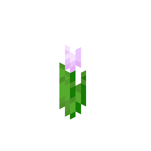 Pink Tulip — representative authorized Minecraft asset