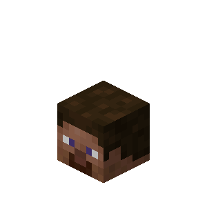 Player Head — representative authorized Minecraft asset