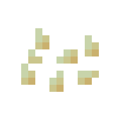 Pumpkin Seeds — representative authorized Minecraft asset