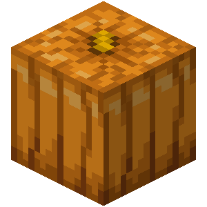 Pumpkin — representative authorized Minecraft asset