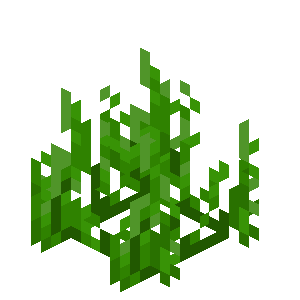 Seagrass — representative authorized Minecraft asset