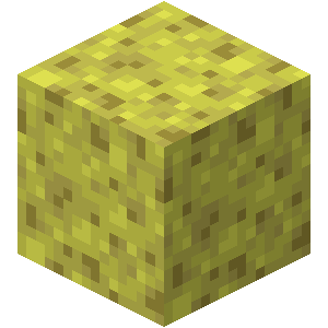 Sponge — representative authorized Minecraft asset
