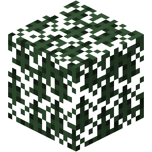Spruce Leaves — representative authorized Minecraft asset