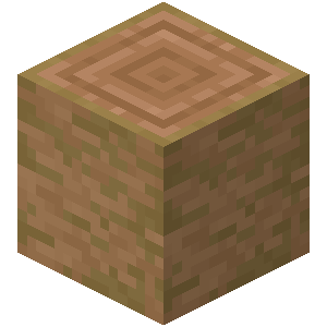 Stripped Jungle Log — representative authorized Minecraft asset