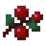 Sweet Berries — representative authorized Minecraft asset