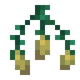 Torchflower Seeds — representative authorized Minecraft asset