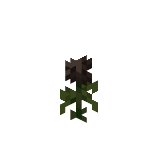 Wither Rose — representative authorized Minecraft asset
